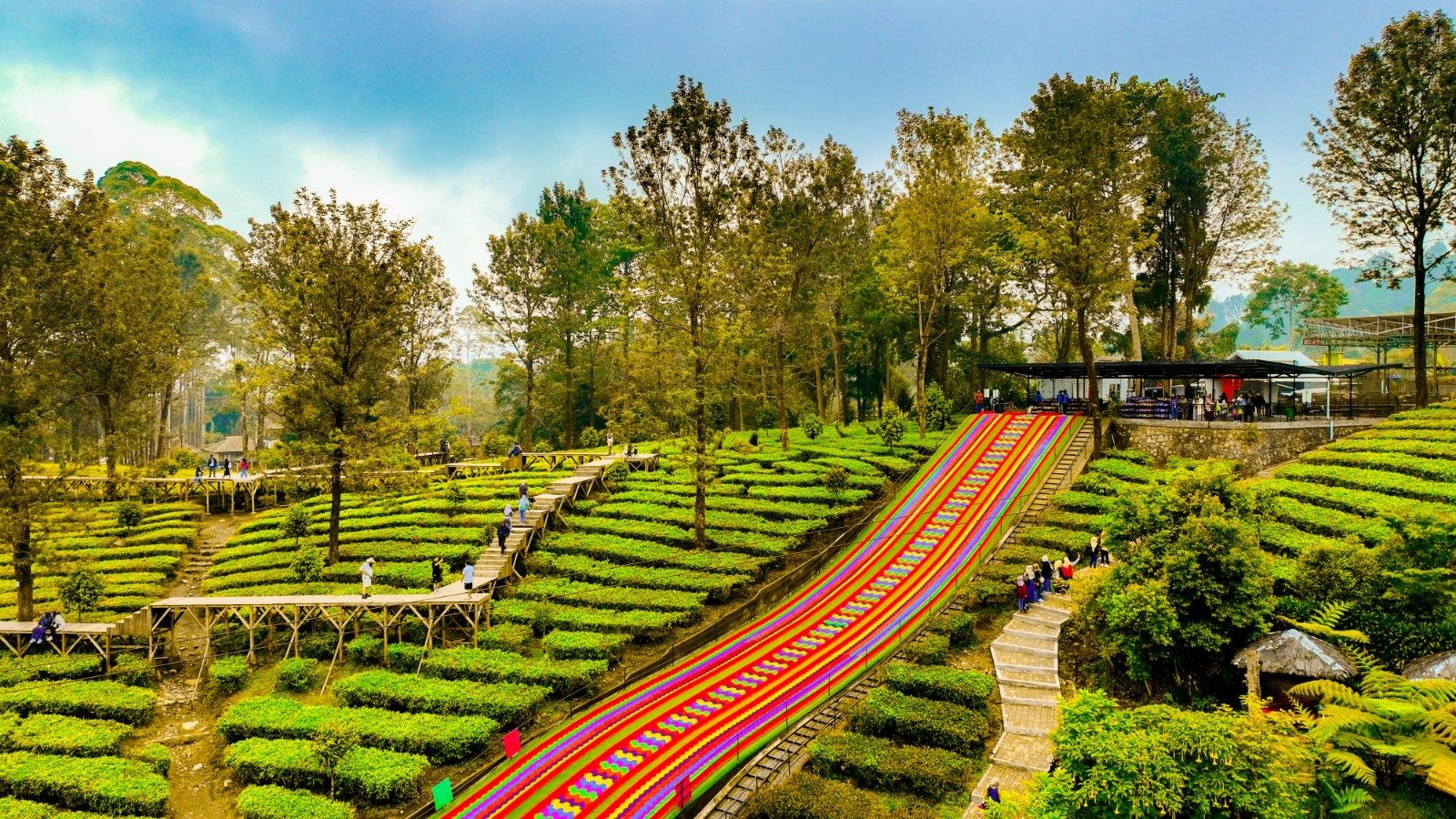 Gunung Mas Tea Garden