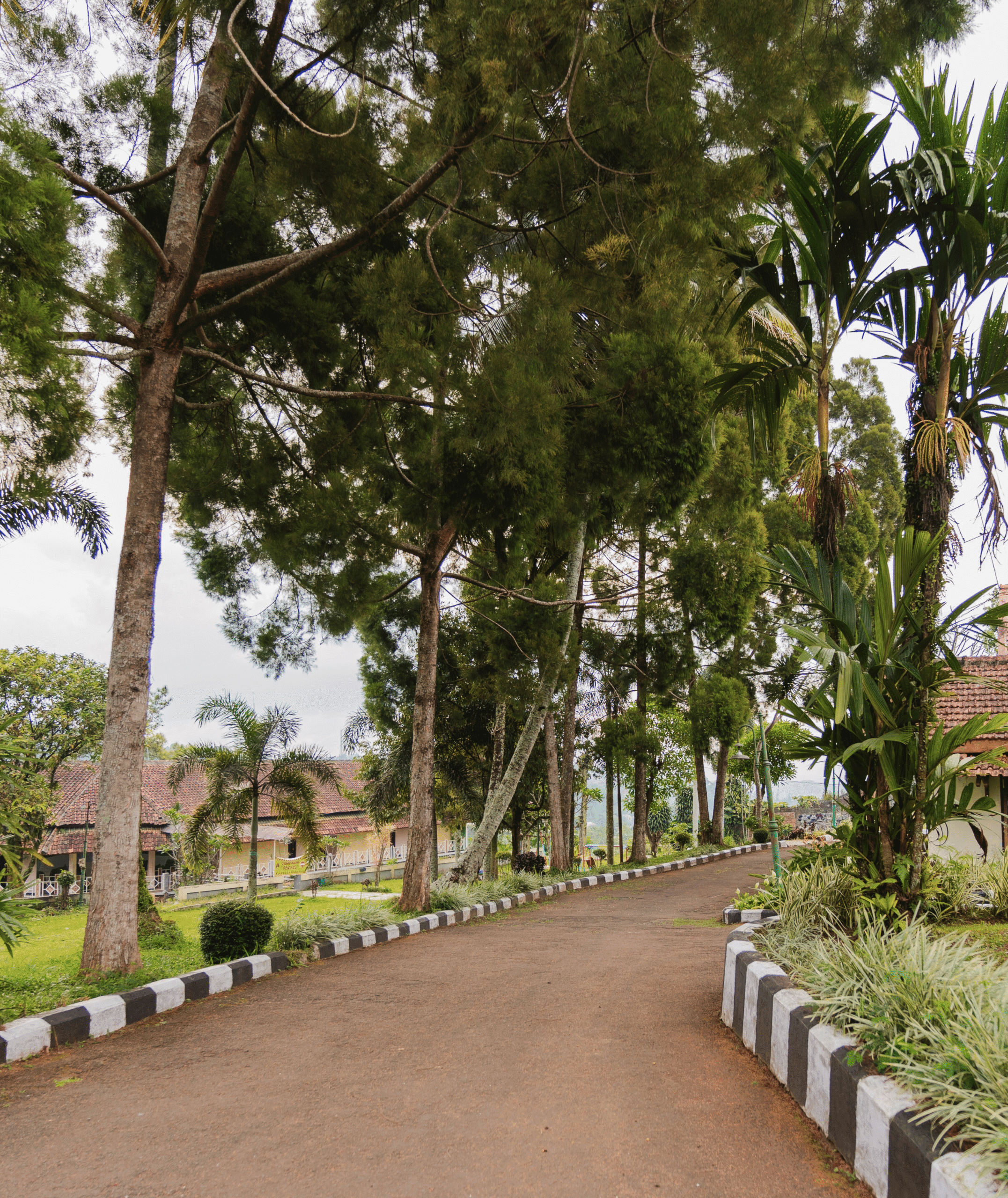 Jogging Track new pesona anggraini